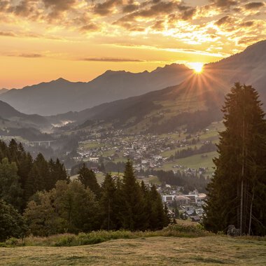 Bergsommer Panorama bei Sonnenuntergang mit Bergen, Wäldern und einem Tal in der Schweiz. | © Kleinwalsertal Tourismus eGen • Fotograf: Steffen Berschin 